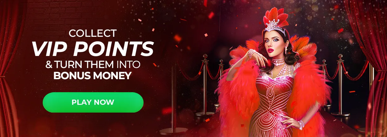 Winspark promo vip points